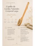 Cepillo de Cerdas Naturales Corporal Largo
