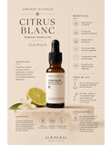 Ambient Essence Citrus Blanc 20 ml