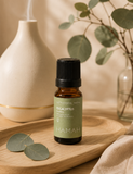 Aceite Esencial Eucalipto 10 ml